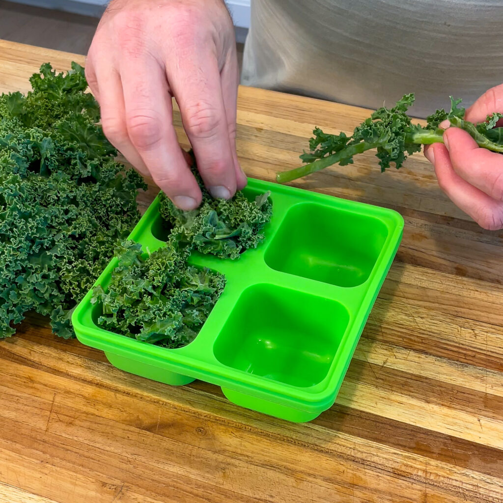 Adding raw kale to a Smootheeze silicone tray to freeze for making ingredient cubes.